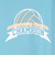 チャンピオン（CHAMPION）バレーボールウェア 半袖Tシャツ C3-CV312 331