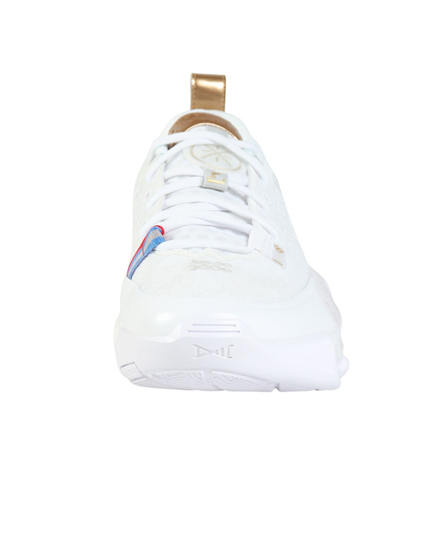 バスケットシューズ バッシュ WADE ALL CITY 13 勝利の道 ウェイド