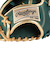 ローリングス（Rawlings）軟式用グラブ 投手用 野球グローブ 一般 ハイパーテック COLOR SYNC GR5FHTCA15W-DGRN