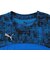 プーマ（PUMA）サッカーウェア ジュニア INDIVIFTBL PRO 長袖Tシャツ 66037707