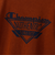 チャンピオン-ヘリテイジ（CHAMPION-HERITAGE）ショートスリーブTシャツ アクションスタイル C3-C304 860