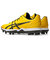 アシックス（ASICS）野球スパイク GOLDSTAGE FANG 1121A067.750
