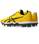 アシックス（ASICS）野球スパイク GOLDSTAGE FANG 1121A067.750