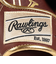 ローリングス（Rawlings）軟式用グラブ 外野手用 野球グローブ 一般 ハイパーテックCOSYNC 左投げ用 GR5FHTCY719-BR/CAM-RH
