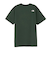 ザ・ノース・フェイス（THE NORTH FACE）ショートスリーブ ES ビッグロゴTシャツ NT32581 AL