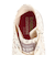 コンバース（CONVERSE）ジュニアスニーカー キャンパスシューズ チャイルド オールスター BS Z HI たべっ子どうぶつ ホワイト 37303590