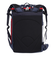 ミズノ（MIZUNO）野球 バッグ グローバルエリート USAバックパック Jr. 30L 1FJDC95086 F