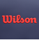 ウイルソン（Wilson）テニス バッグ US オープン 2025 トートバッグ WR8046401001
