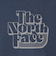 ザ・ノース・フェイス（THE NORTH FACE）長袖Tシャツ フリーラングラフィッククルー NT62593 UN