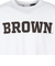チャンピオン-ヘリテイジ（CHAMPION-HERITAGE）USA T1011 長袖Tシャツ BROWN C5-C406 010