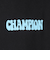 チャンピオン-ヘリテイジ（CHAMPION-HERITAGE）BA FT HANDWRITE フーデッド プルオーバー C3-C120 090