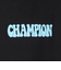 チャンピオン-ヘリテイジ（CHAMPION-HERITAGE）BA FT HANDWRITE フーデッド プルオーバー C3-C120 090