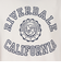 チャンピオン-ヘリテイジ（CHAMPION-HERITAGE）BA FT COLLEGEPRINT スウェットシャツ C3-C034 020