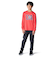 アンダーアーマー（UNDER ARMOUR）パフォーマンスコットン バーシティ ロゴ ロングスリーブ Tシャツ 6007827 989