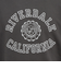 チャンピオン-ヘリテイジ（CHAMPION-HERITAGE）BA FT COLLEGEPRINT スウェットシャツ C3-C034 055
