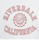 チャンピオン-ヘリテイジ（CHAMPION-HERITAGE）BA FT COLLEGEPRINT スウェットシャツ C3-C034 810