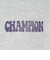 チャンピオン-ヘリテイジ（CHAMPION-HERITAGE）BA FT HANDWRITE フーデッド プルオーバー C3-C120 070
