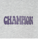 チャンピオン-ヘリテイジ（CHAMPION-HERITAGE）BA FT HANDWRITE フーデッド プルオーバー C3-C120 070