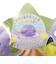 ポケモン（pokemon）入浴剤 びっくらたまご ポケモン スピードスター バスホッピング 星降る夜に 118806