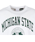 チャンピオン-ヘリテイジ（CHAMPION-HERITAGE）USA T1011 長袖Tシャツ Michigan State University C5-C4…