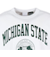 チャンピオン-ヘリテイジ（CHAMPION-HERITAGE）USA T1011 長袖Tシャツ Michigan State University C5-C4…