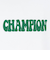チャンピオン-ヘリテイジ（CHAMPION-HERITAGE）BA FT HANDWRITE フーディー C3-C120 010