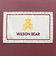 ウイルソン（Wilson）BEAR クーラーバッグ WIN WR8048201001