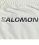 サロモン（SALOMON）ウエストポーチ PULSE BELT LC2711100