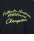 チャンピオン（CHAMPION）バレーボールウェア LロングスリーブTシャツ C3-CV411 090