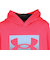 アンダーアーマー（UNDER ARMOUR）ジュニア テック テリー グラフィック フーディー 6009943 989