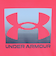 アンダーアーマー（UNDER ARMOUR）ジュニア テック テリー グラフィック フーディー 6009943 989