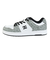 ディーシーシューズ（DC SHOES）スニーカー ボーダーシューズ マンテカ 4 SE SN ホワイト グレー 25FWDM254307WGR カジュアルシュ…