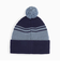 プーマ（PUMA）帽子 ニットキャップ  ESS  ミッドクラウン  ポム  ビーニー  紺 ネイビー 02655001 シンプル 防寒小物 あったか