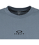 オークリー（OAKLEY）ESSEN 長袖Tシャツ CURVE FOA408446-69G