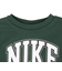 ナイキ（NIKE）トドラー ボーイズ B NSW P.E. GFX クルーネック スウェットシャツ 76N219-F1J