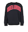 アンダーアーマー（UNDER ARMOUR）ボーイズ テック テリー オーバーサイズド カレッジ クレスト ロゴ クルーネック 6007825 001