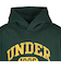 アンダーアーマー（UNDER ARMOUR）アイコン ヘビーウエイト フリース カリージエイト プルオーバー フーディ 6012738 301