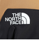 ザ・ノース・フェイス（THE NORTH FACE）防寒小物 あったか対策 ウィンドストッパー イーチップ グローブ 茶色 ブラウン SS-LLサイズ NN6…