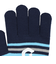 手袋 ジュニア ボーダーニットグローブ サックス WG5F0006-WA902-GRST SAX 滑り止め付き 防寒 ジュニア手袋