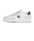 ディーシーシューズ（DC SHOES）スニーカー ボーダーシューズ アストリックス S ホワイト グリーン 25HODS256001101 スポーツ シューズ
