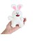 たべっ子どうぶつたべっ子どうぶつ ぬいぐるみ うさぎ アクリルチャーム付き W 074499