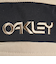 オークリー（OAKLEY）ミトングローブ B1B MITTENS FOS901289-32F