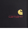 カーハート（CARHARTT）アメリカン スクリプト スウェット I02547589XX25FW