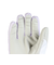 ベスプ（VESP）ジュニア ウィンター 五指グローブ SNJG1021WH