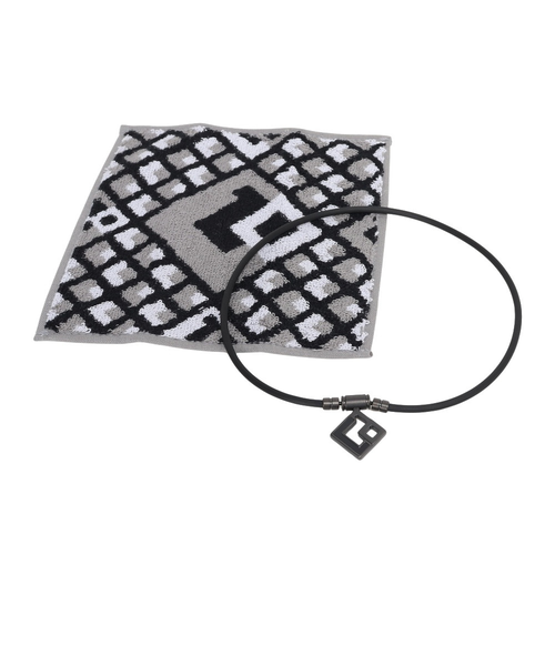 コラントッテ（Colantotte）チタンネックレス アウラプレミアム