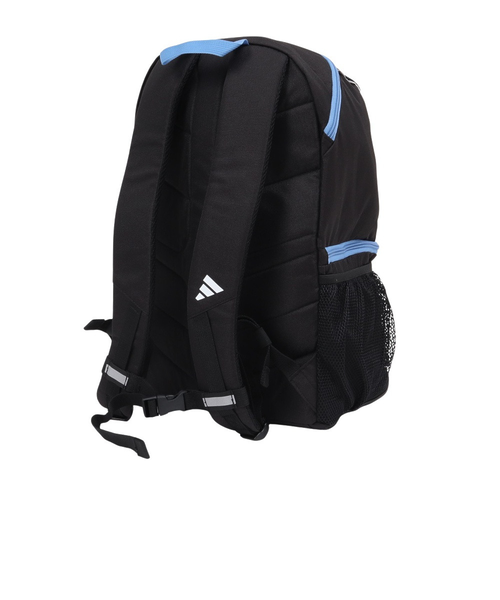 TUBBS デイハイク・ポール タブス TUBBS バックカントリーポール DAY HIKING POLES BC サイド