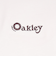 オークリー（OAKLEY）EN NEW RETRO FLAG 長袖Tシャツ FOA406983-10R