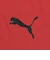 プーマ（PUMA）サッカーウェア ジュニア INDIVILIGA グラフィック 半袖シャツ 66096701