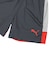 プーマ（PUMA）サッカーウェア ジュニア INDIVILIGA トレーニング ショーツ 66097401