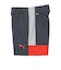 プーマ（PUMA）サッカーウェア ジュニア INDIVILIGA トレーニング ショーツ 66097401